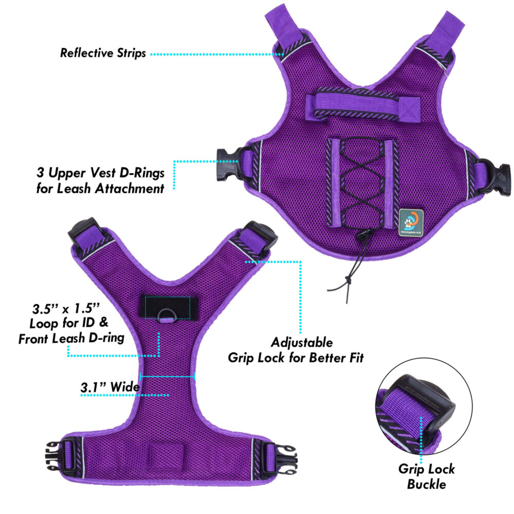 anti-pull-dog-harness-purple