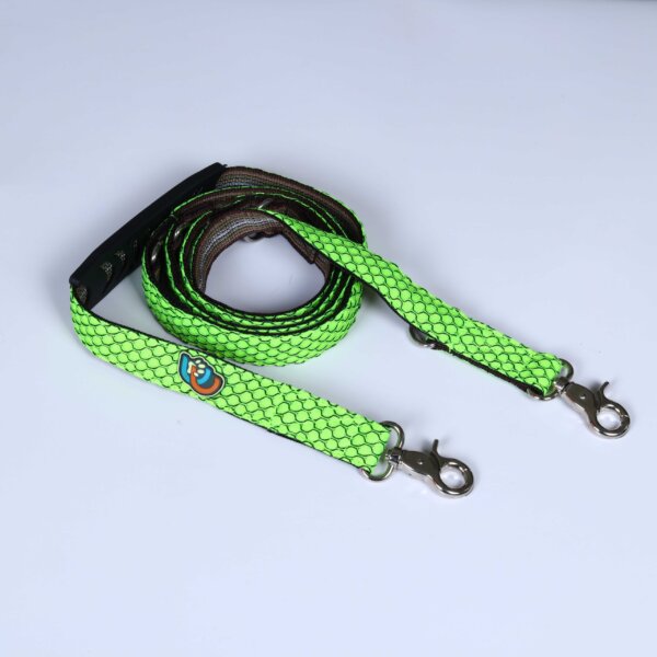 dog-leash-green
